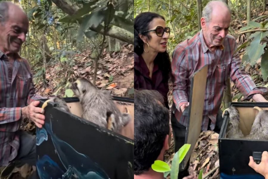 Ney Matogrosso: aos 85 anos, transforma sítio em refúgio para animais