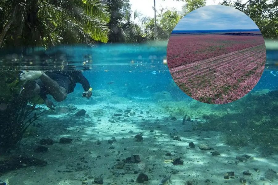 Investigação Ambiental na Capital do Ecoturismo: 336 Campos de Futebol