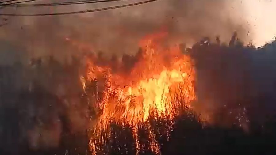 Defesa Civil alerta para alta probabilidade de incêndios em Ribeirão Preto