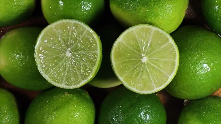 Exportações de limão brasileiro alcançam recorde; clima afeta café