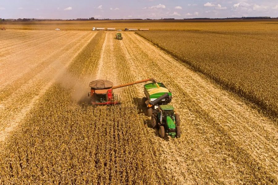Mato Grosso finaliza colheita de milho com 7,43 milhões de hectares