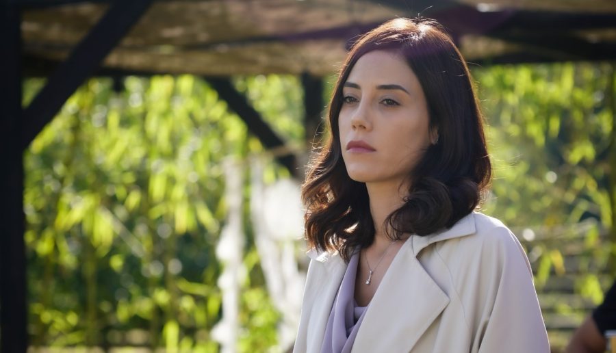 Resumo da novela Iludida: principais acontecimentos de 31/08 a 04/09