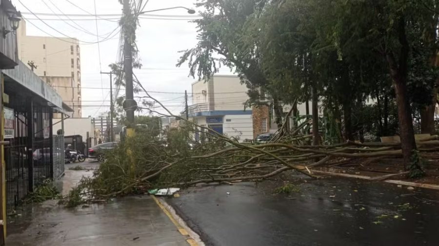 Ribeirão Preto ainda se recupera de vendaval um mês após a tempestade