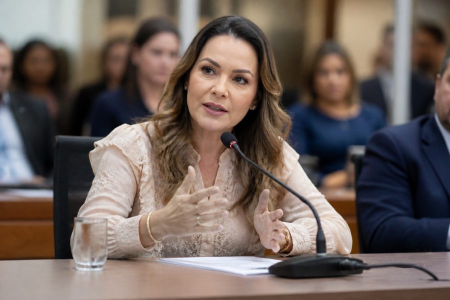 Virginia Mendes quer expandir o SER Família Capacita para o Brasil