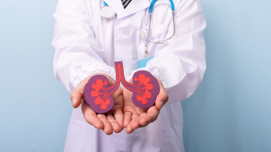 Desafios da Doença Renal: Transplante e Hemodiálise em Debate
